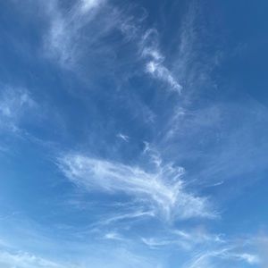 Meet your Posher, Kat